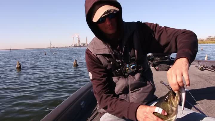 Unlocking Fall Bass Fishing Secrets on Lake Conroe