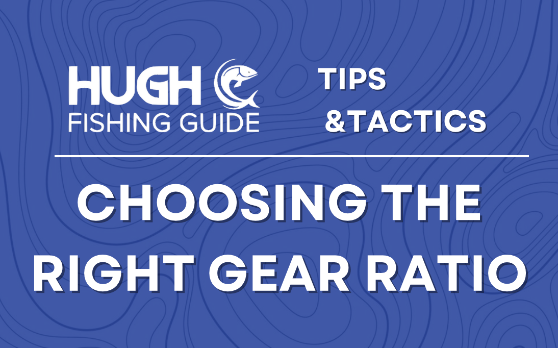 Choosing the Right Gear Ratio for Baitcasters Hugh Fishing